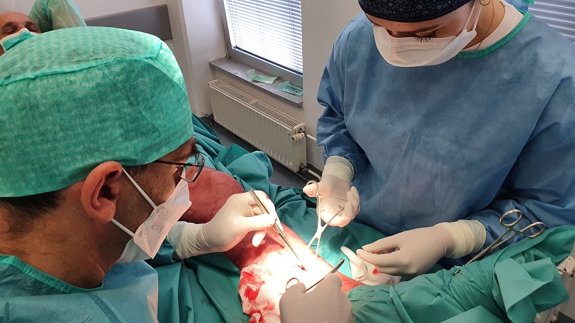 Operativni posegi na ožilju rešujejo okončino. Operacije na arterijah ohranijo ud. Operacije na venah pospešijo celjeneje rane.